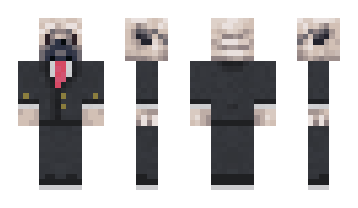 iamapug30 Minecraft Skin