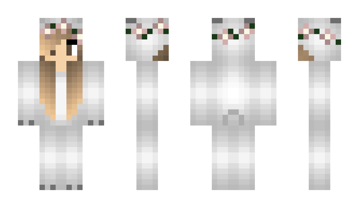 Never Minecraft Skin