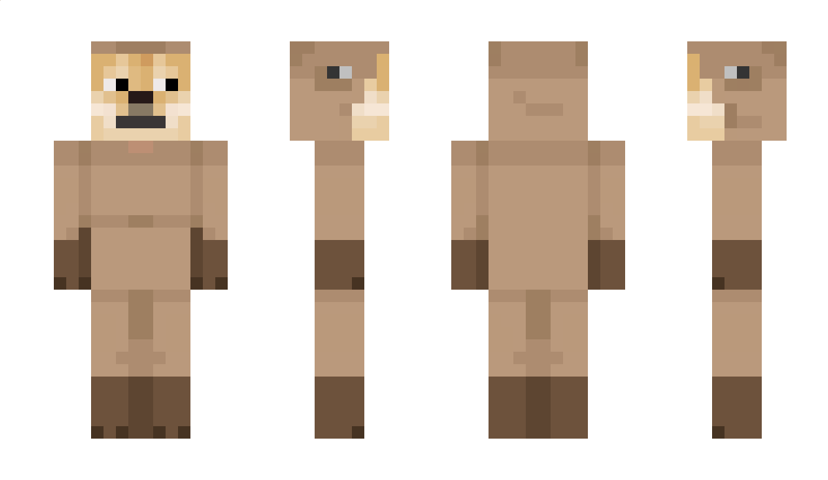 liamdoge Minecraft Skin