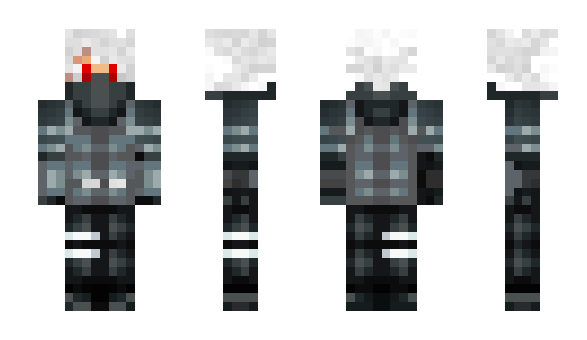 9088 Minecraft Skin