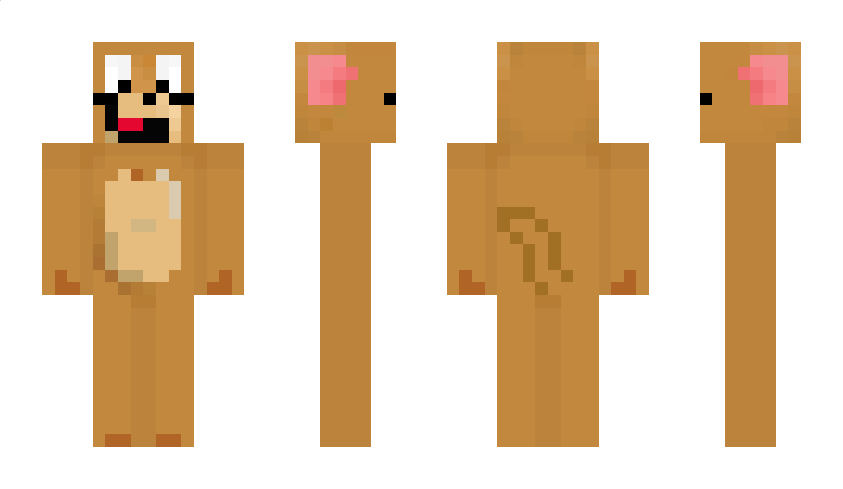 robin4567 Minecraft Skin