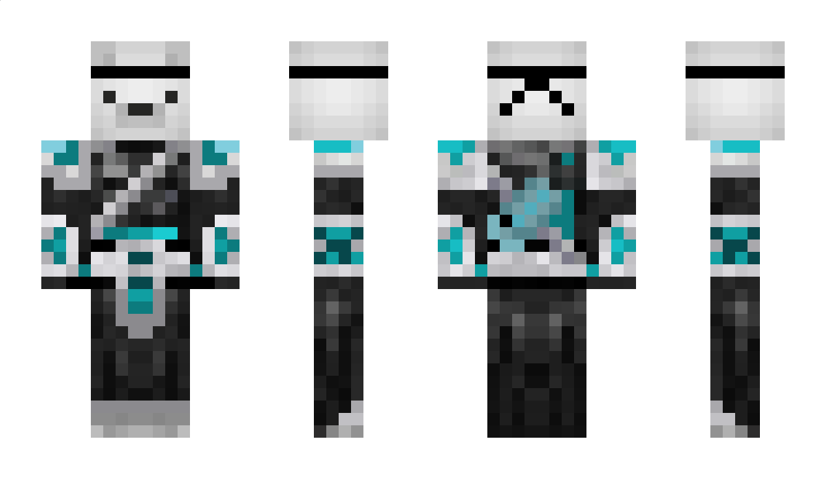 Polarninjabear Minecraft Skin