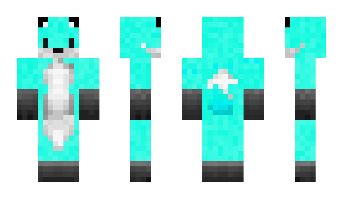 __CETRAX__ Minecraft Skin