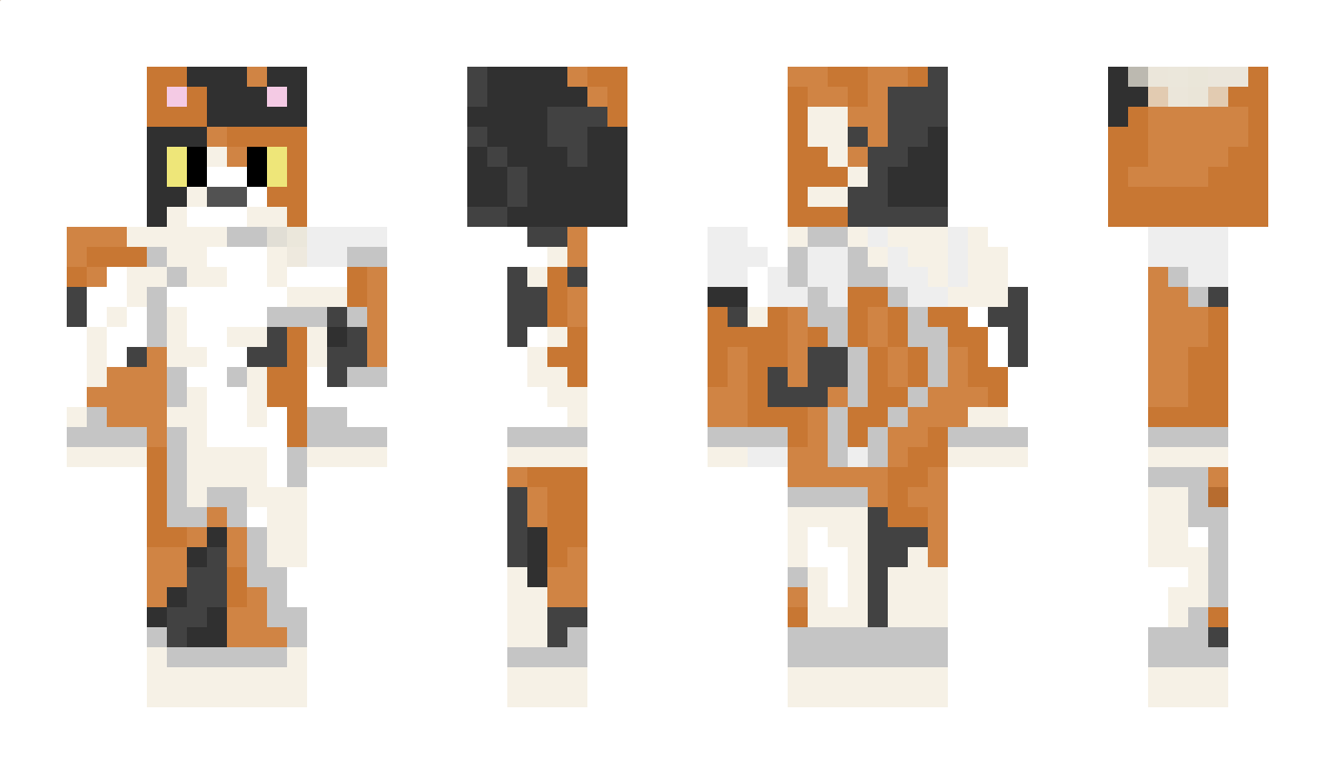 bronj Minecraft Skin