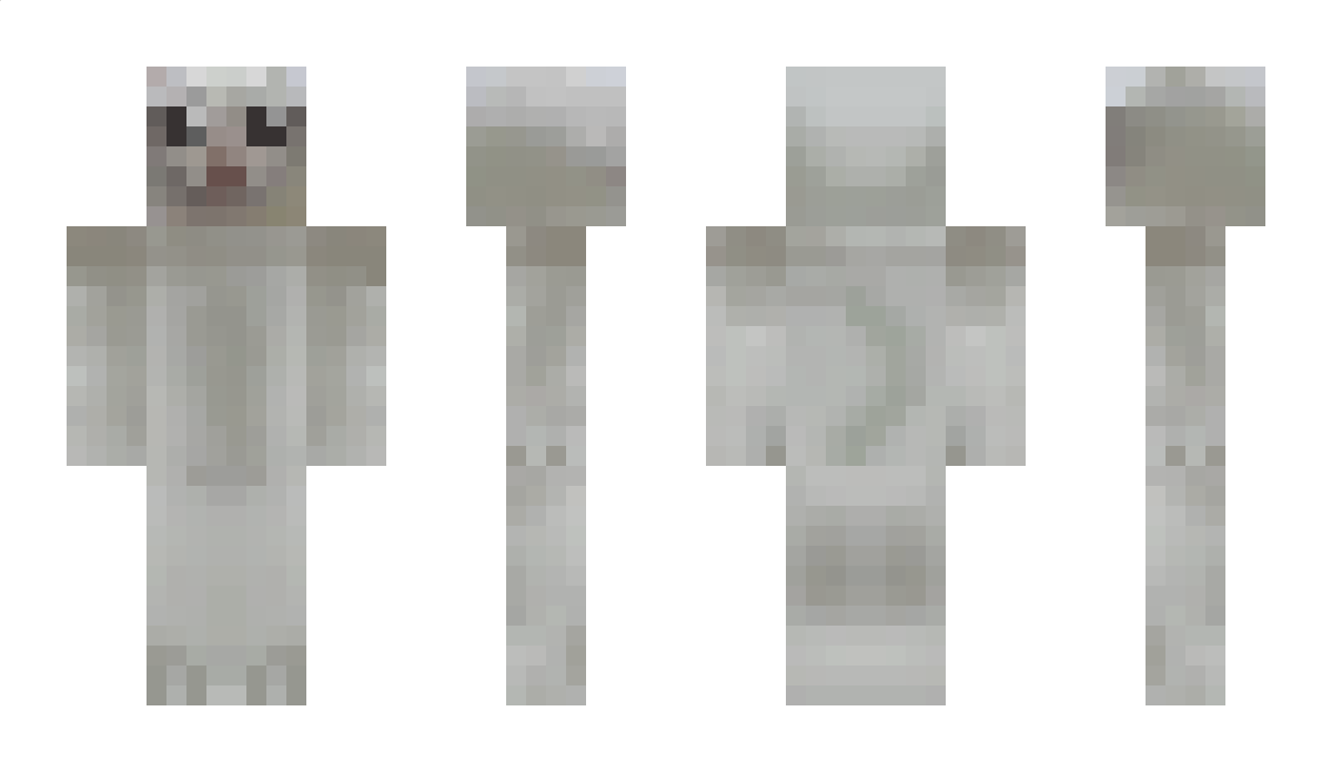 mozimorzi Minecraft Skin