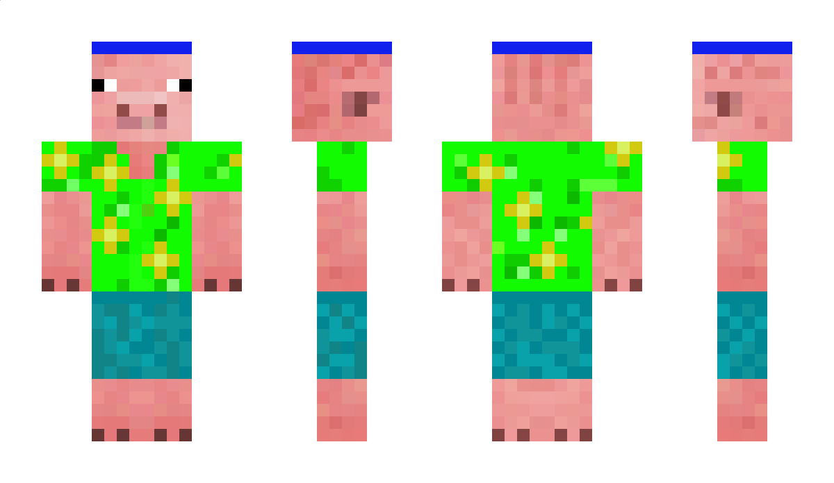 Pigerty Minecraft Skin