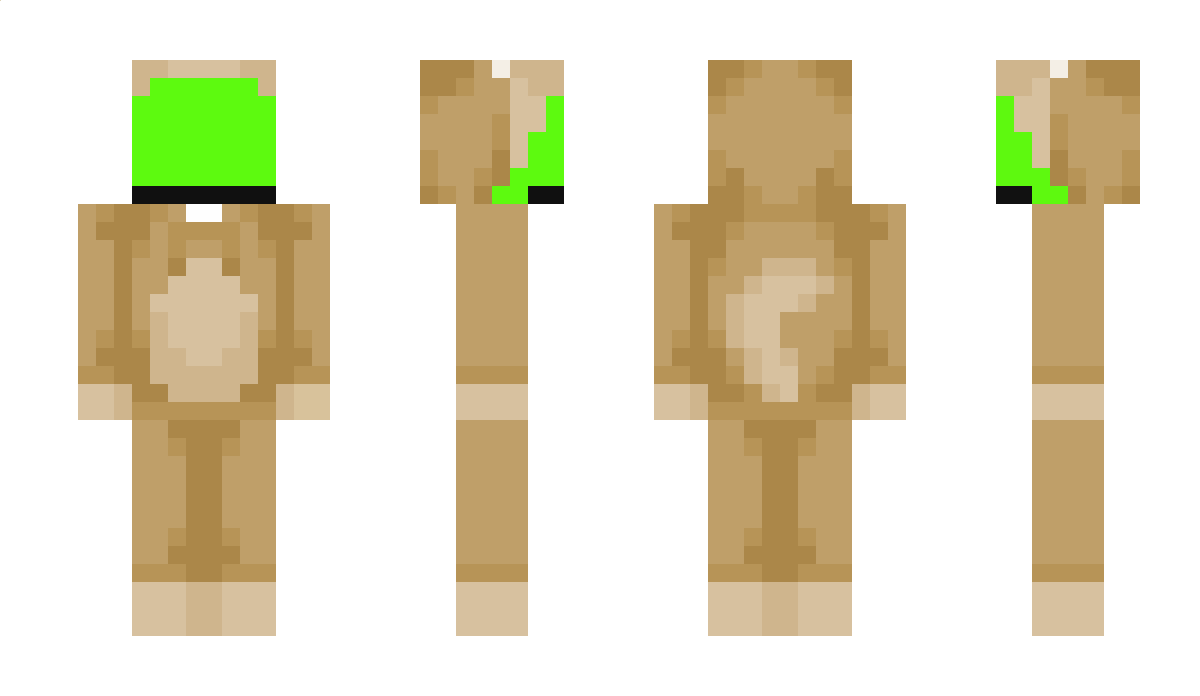 Dreamm__ Minecraft Skin