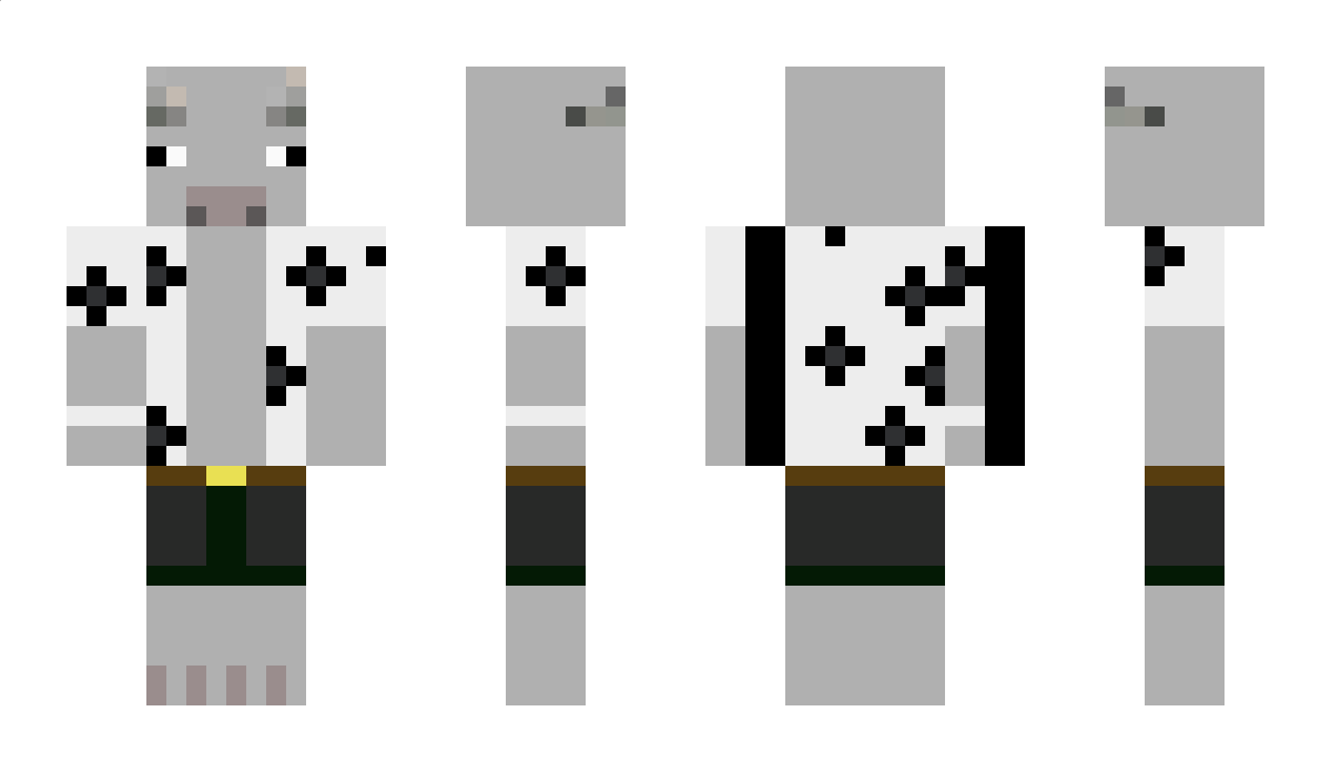 1Arne1 Minecraft Skin