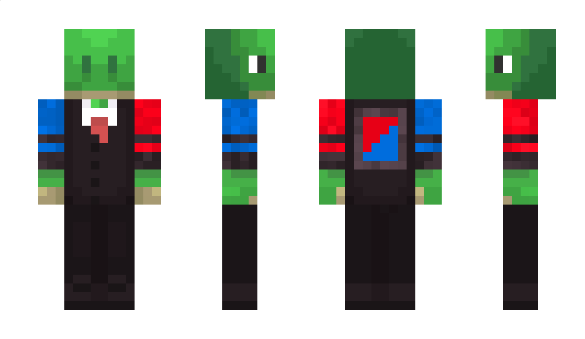 ACasualTurtil Minecraft Skin