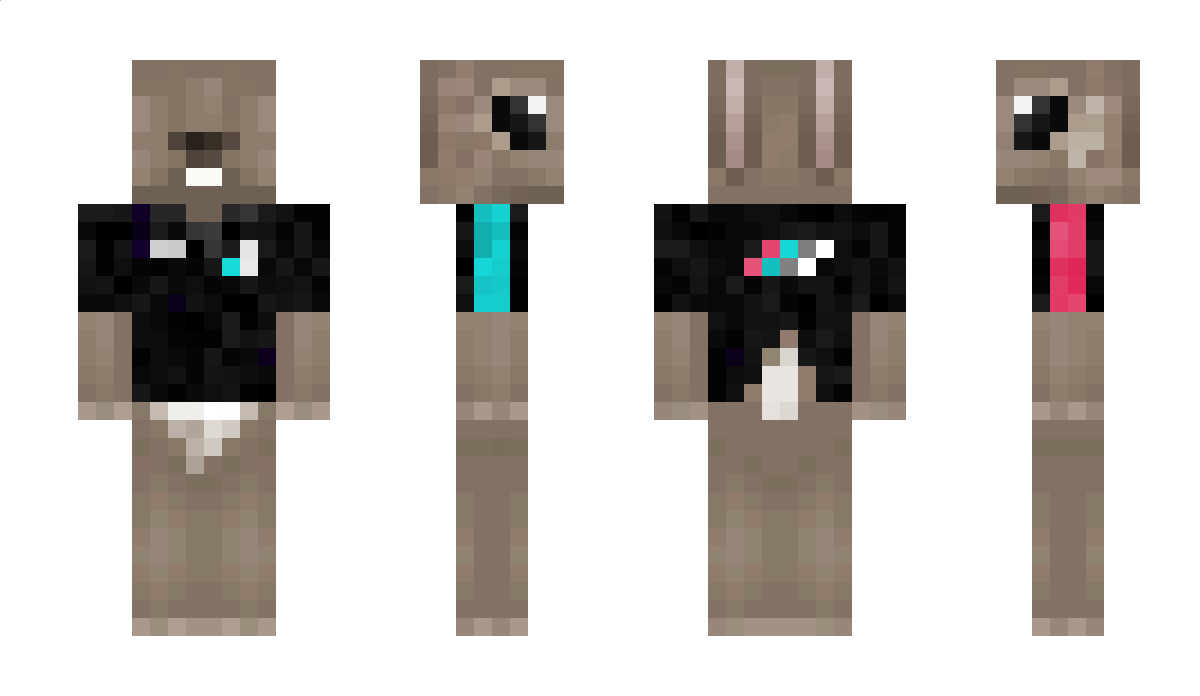 Adudu_du Minecraft Skin