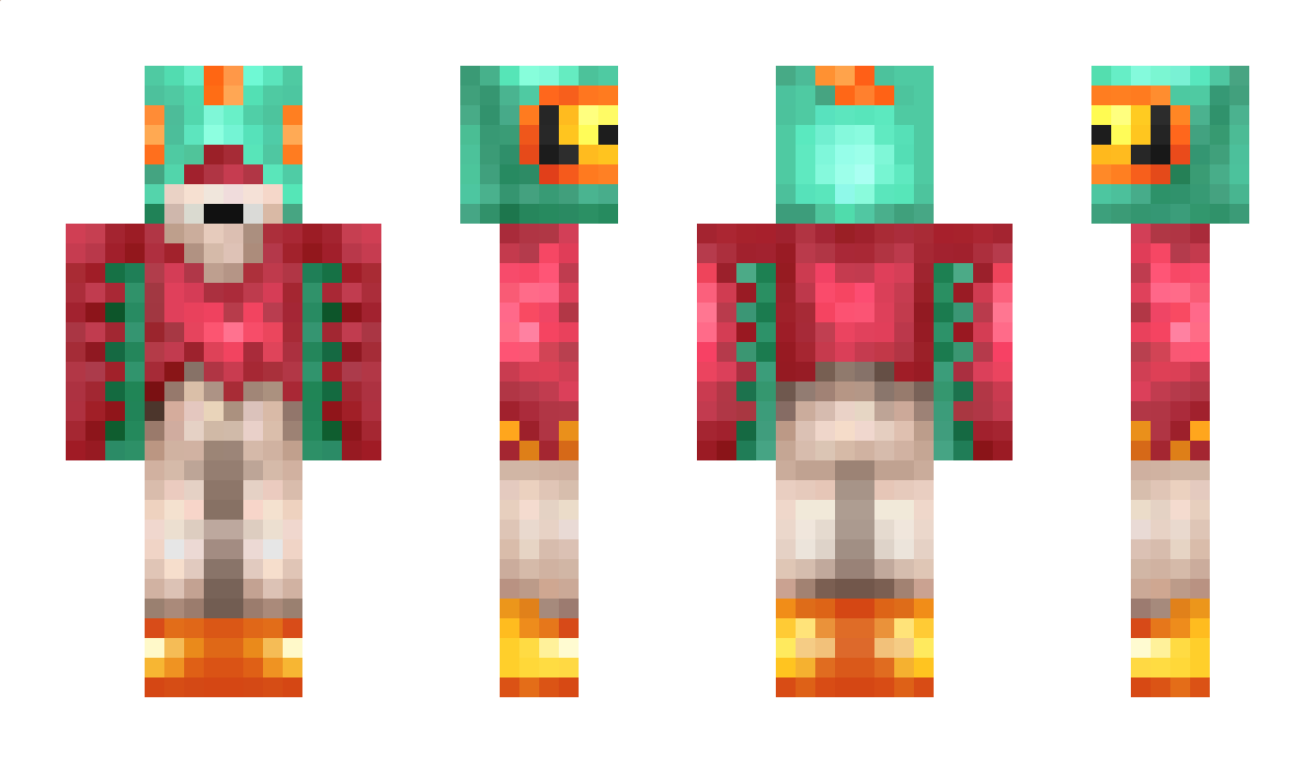 Hawlucha701 Minecraft Skin