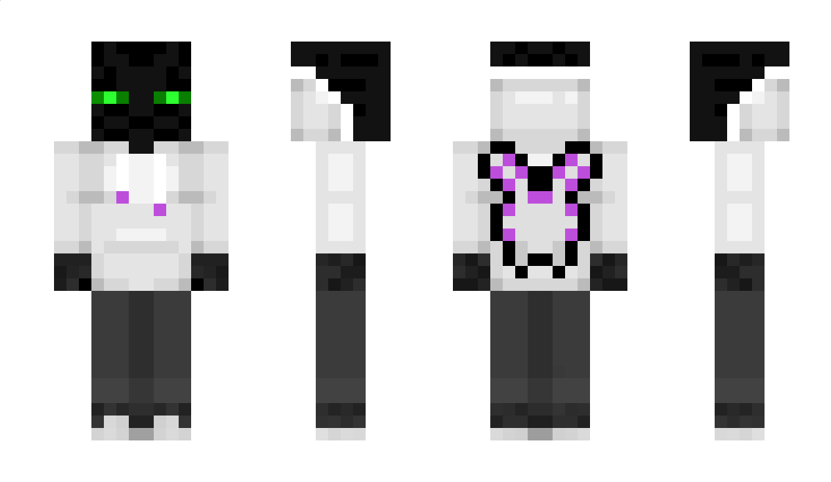 GalaxyCat173 Minecraft Skin