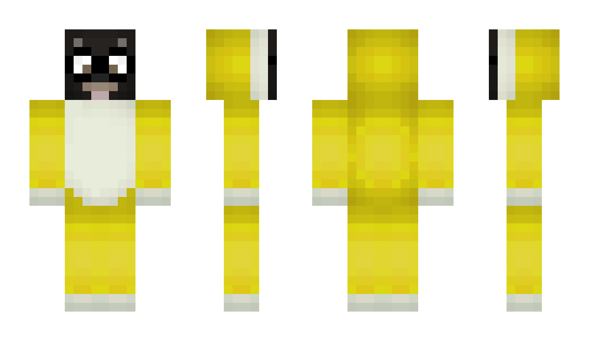 dadla Minecraft Skin