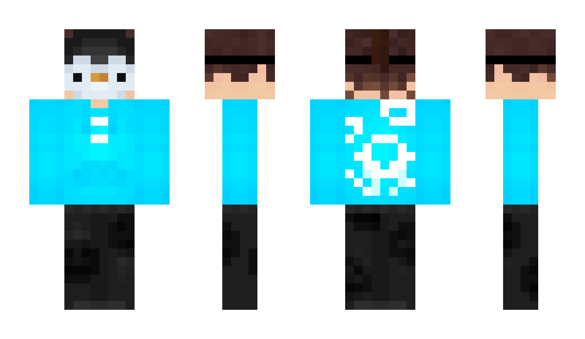 _MRpinguin Minecraft Skin