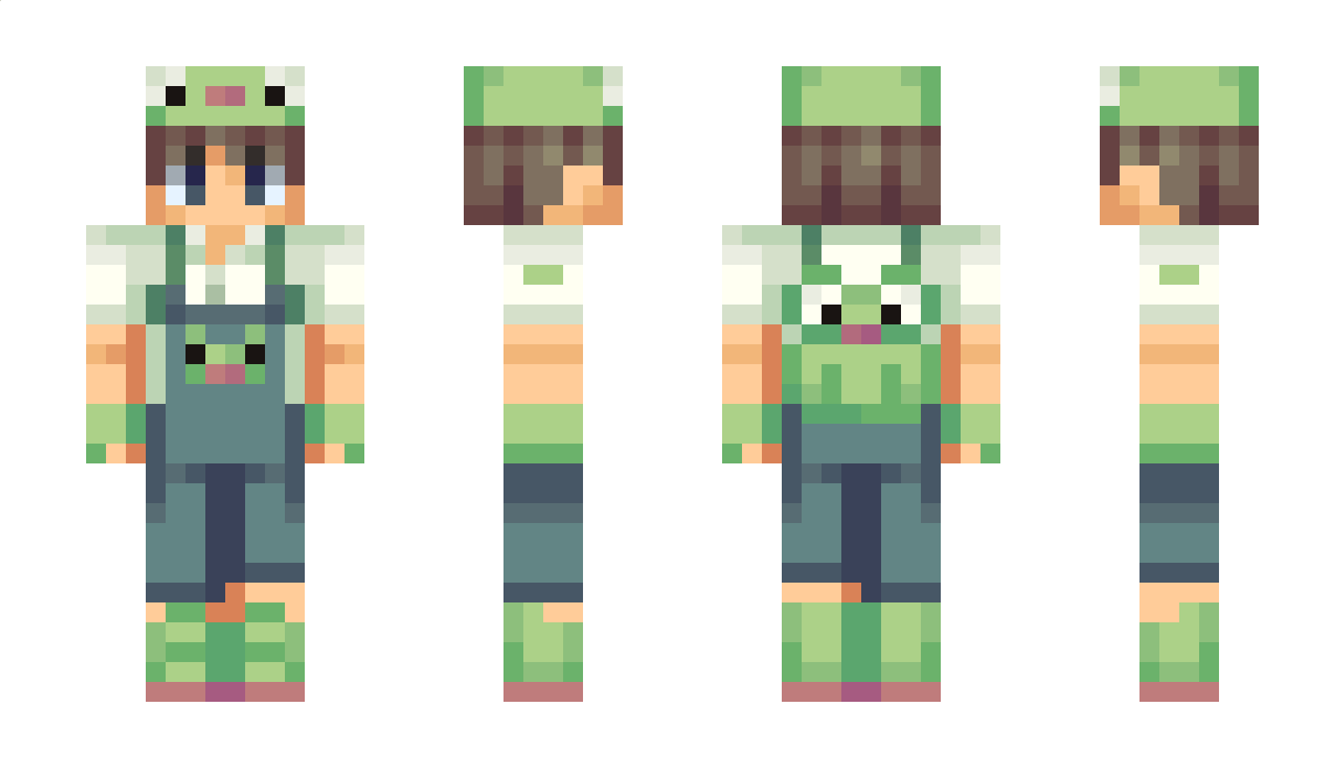 niemalsmats Minecraft Skin