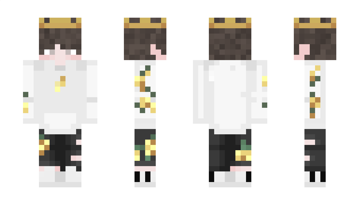 RokT09 Minecraft Skin