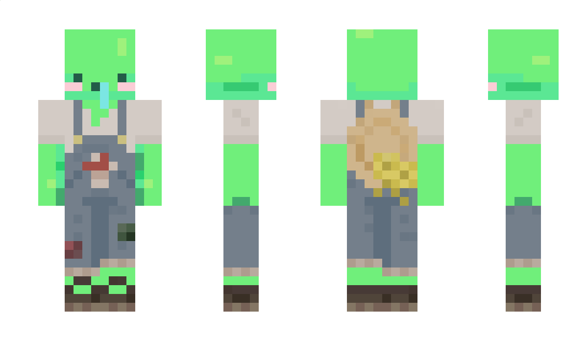 choonsik_ee Minecraft Skin