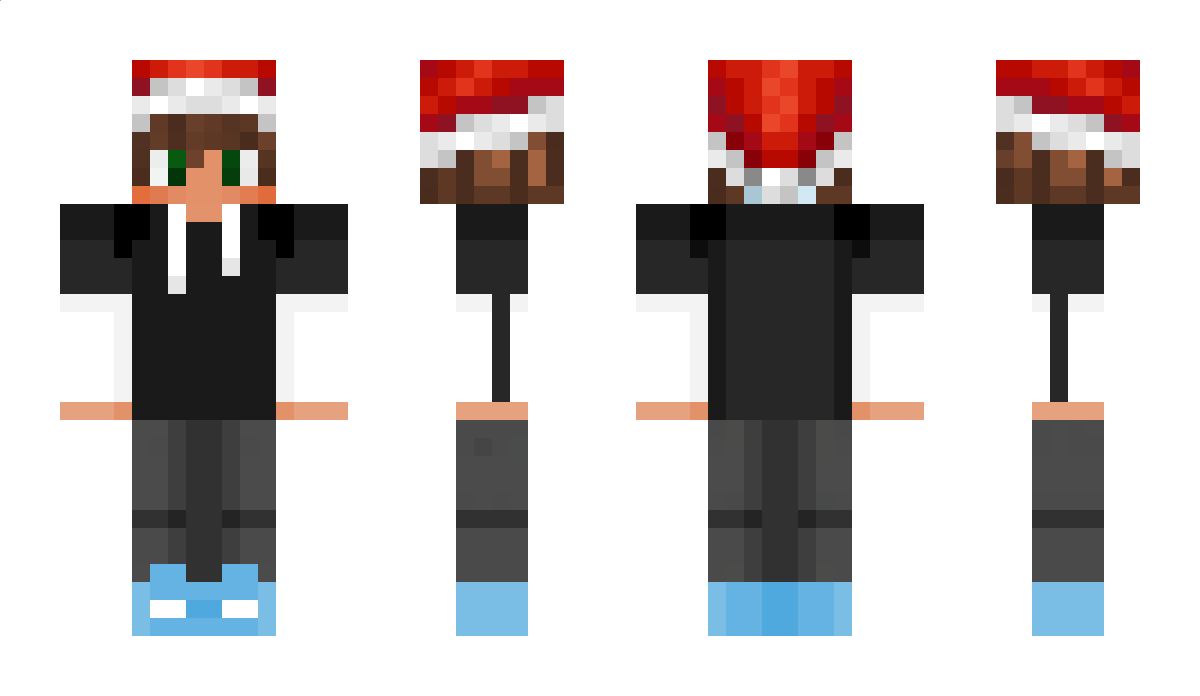 FoxardYT Minecraft Skin