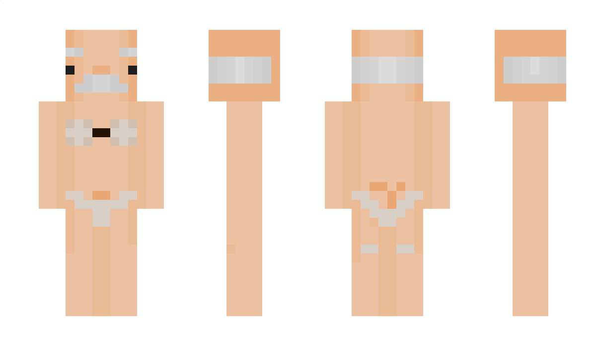 fi1 Minecraft Skin