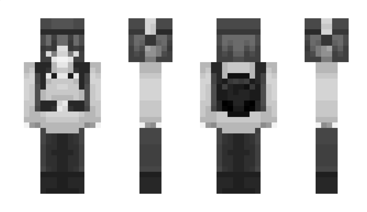 2h8t3 Minecraft Skin