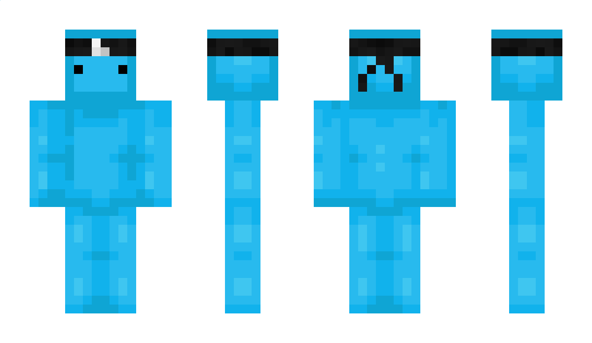 coini4 Minecraft Skin