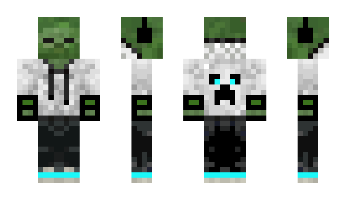 Zimmy Minecraft Skin