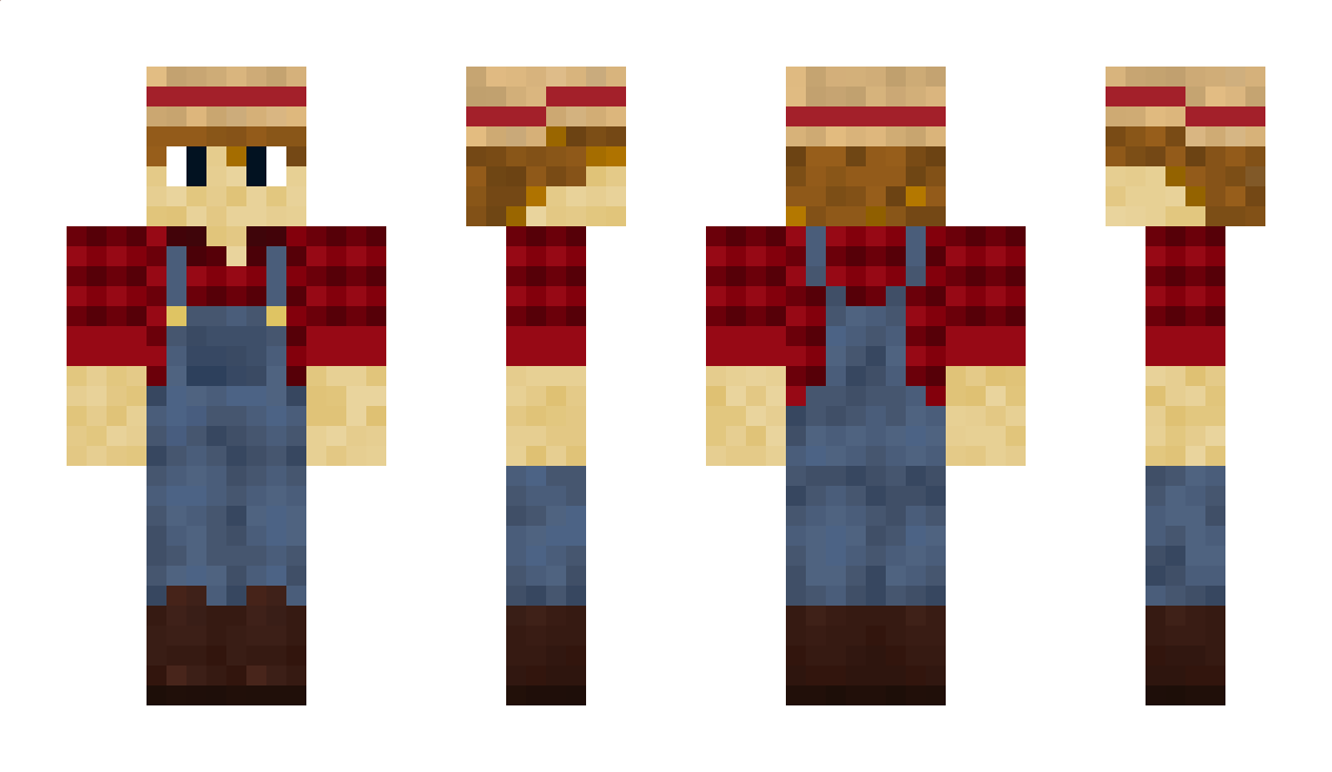 loddi1 Minecraft Skin