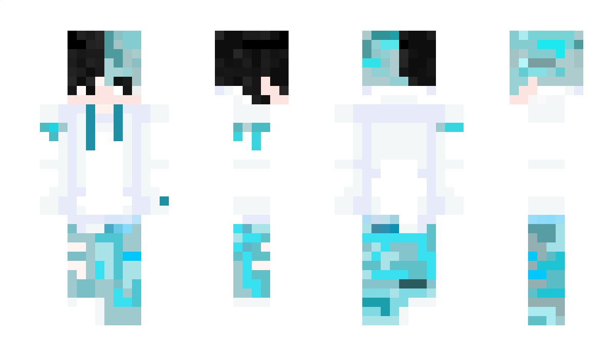 Fellimy Minecraft Skin