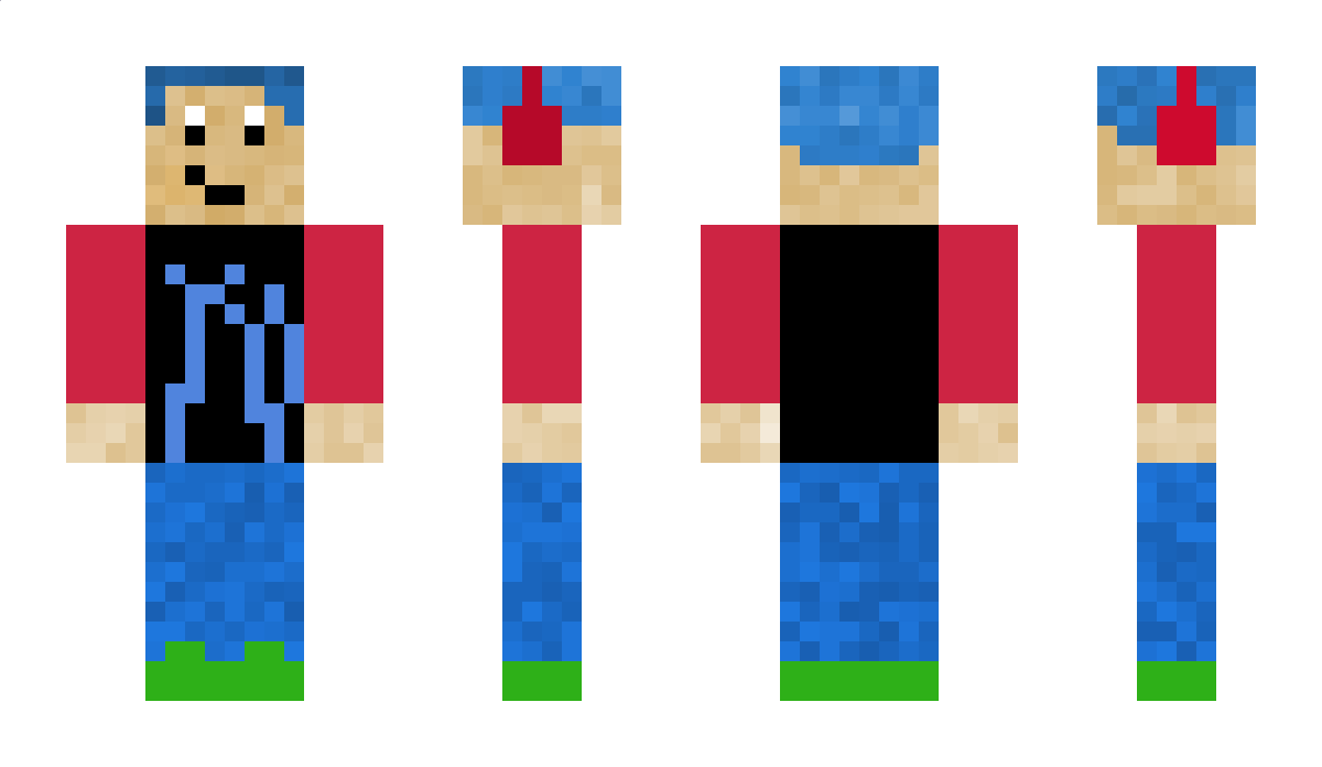 ShakePlays Minecraft Skin