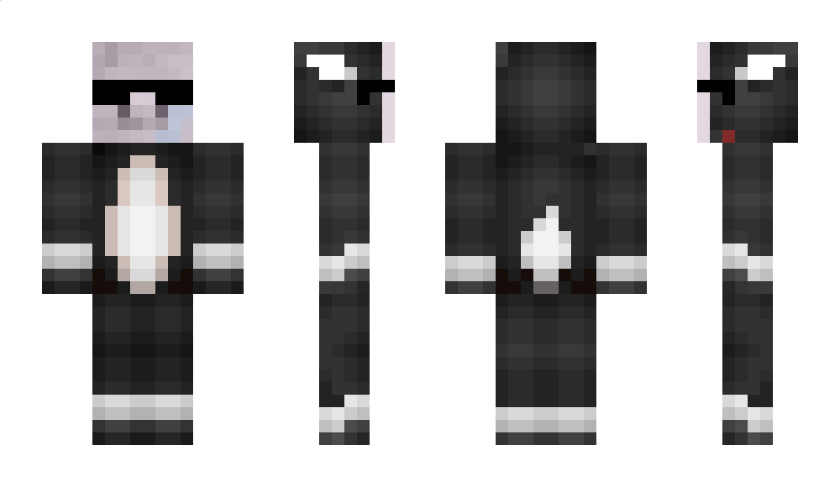 DawSto2309 Minecraft Skin