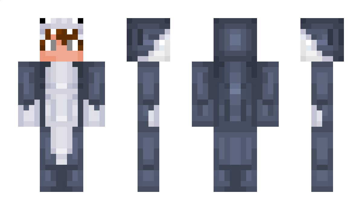 Dshark Minecraft Skin