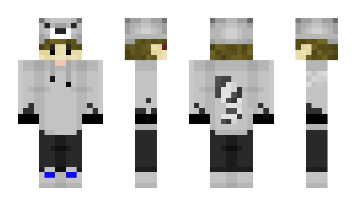 TrashCat17 Minecraft Skin