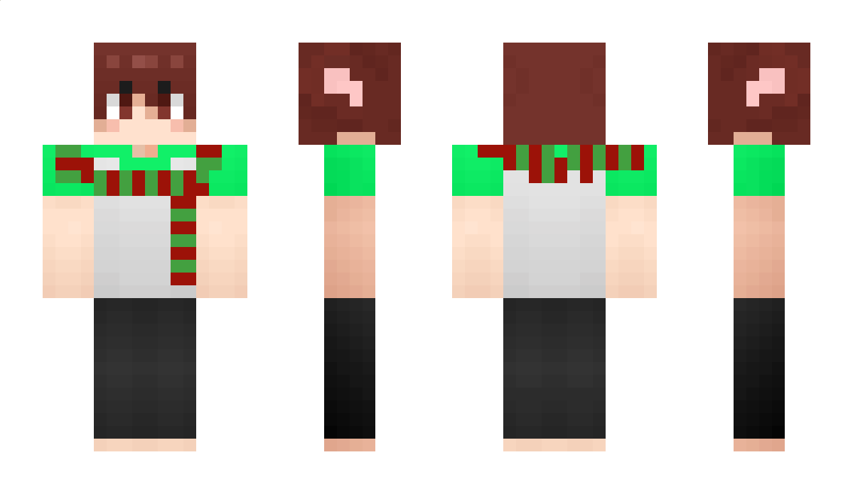 recard369 Minecraft Skin