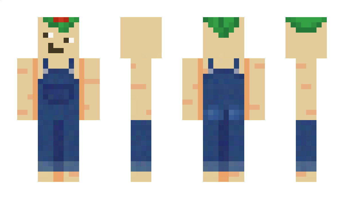 IM_SANSAM Minecraft Skin