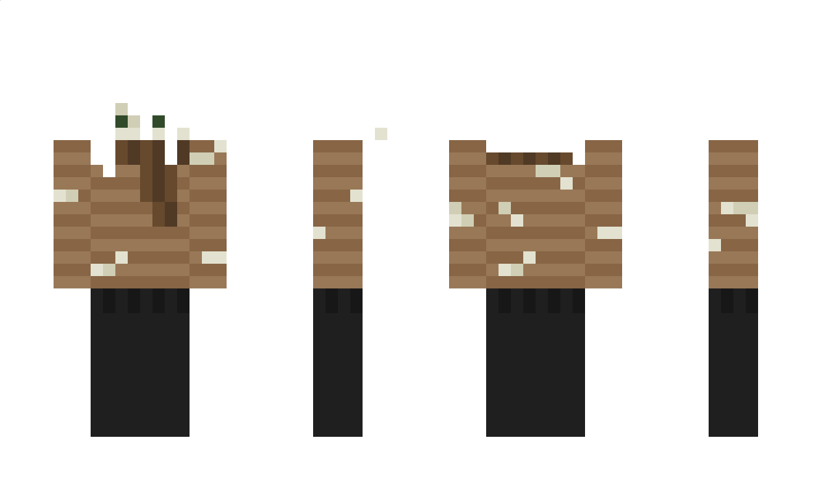 hsaq Minecraft Skin