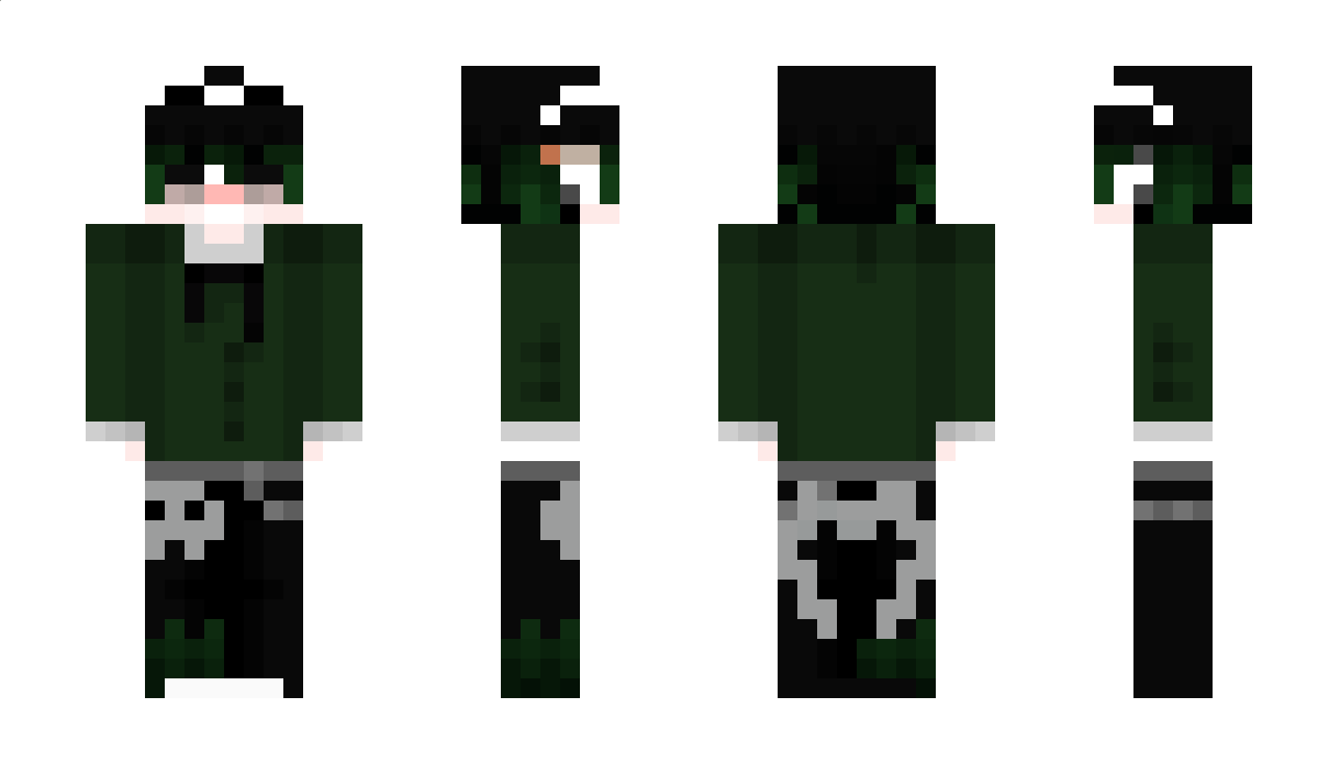 Erioon_ Minecraft Skin