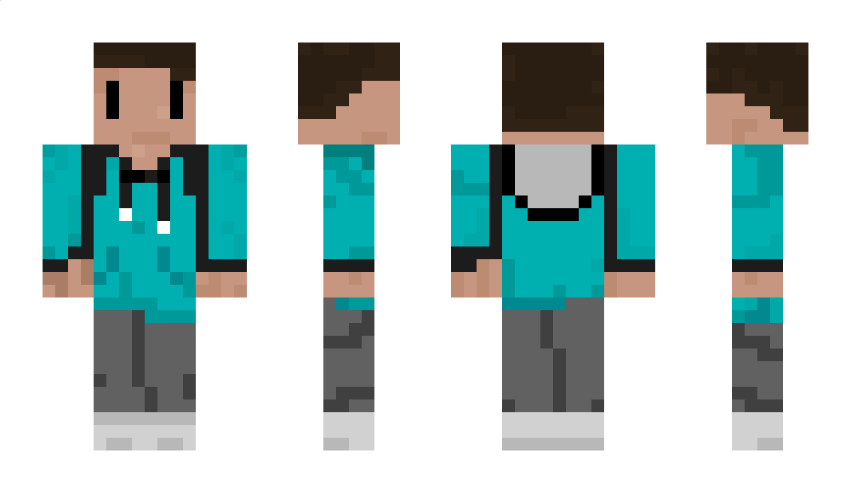 Findude1307 Minecraft Skin