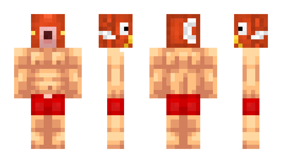 portaporty Minecraft Skin