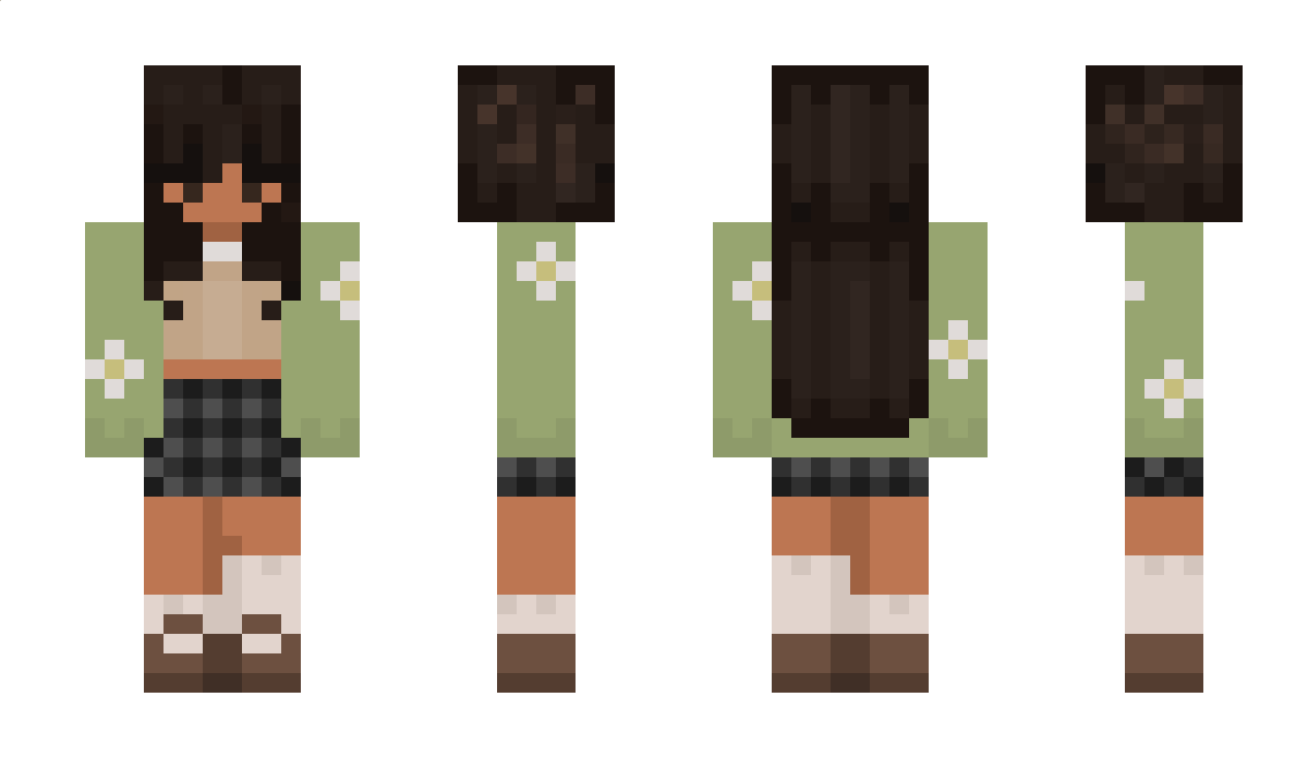 AnticSeal Minecraft Skin