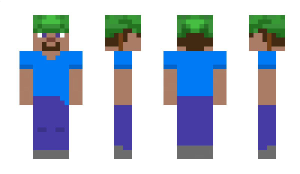 Zeedyl Minecraft Skin