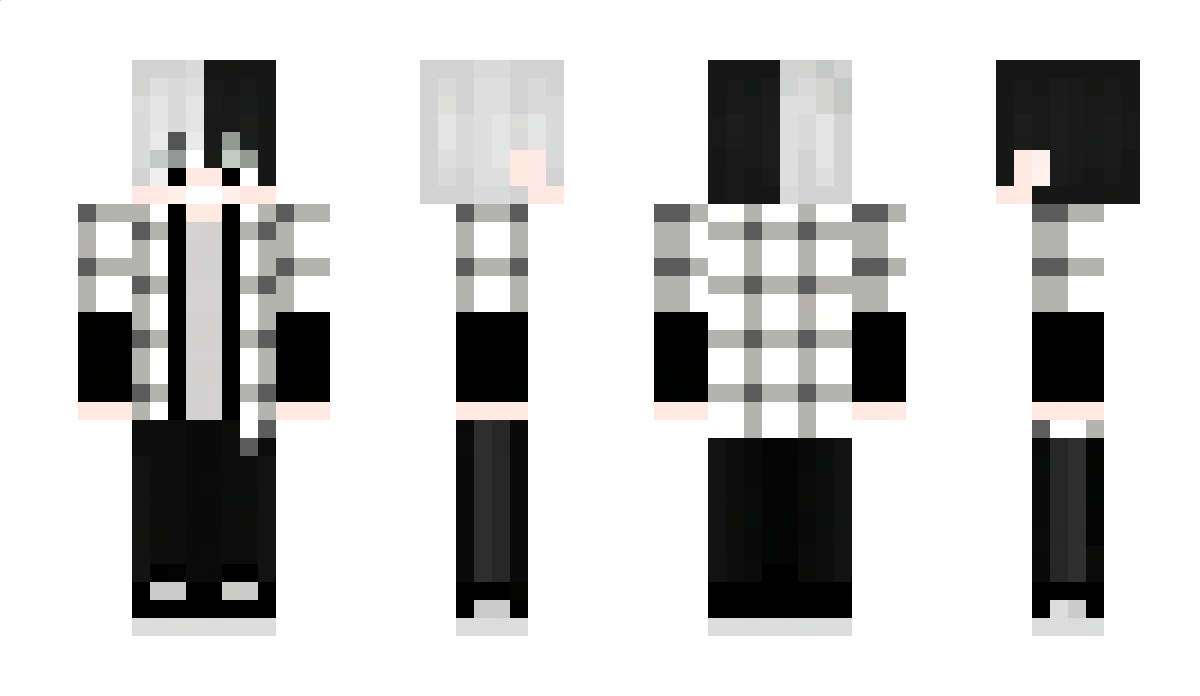 a1lto Minecraft Skin