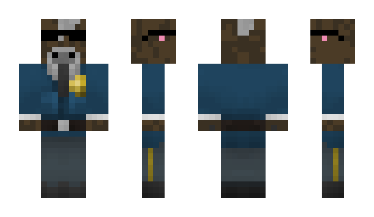 PENGUINDOLPHIN Minecraft Skin