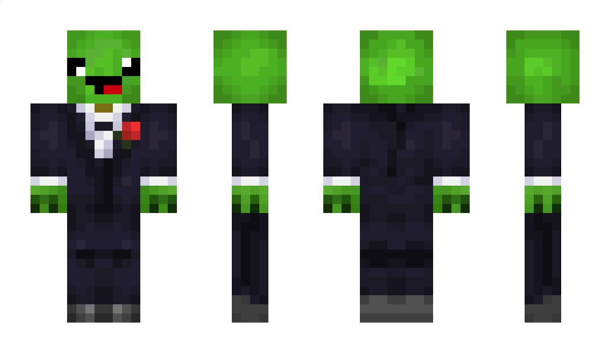 CrazyTurtle4202 Minecraft Skin