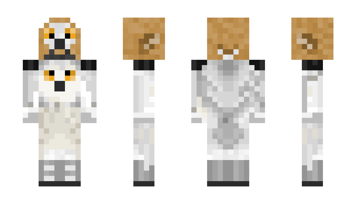 hedvig_owl Minecraft Skin