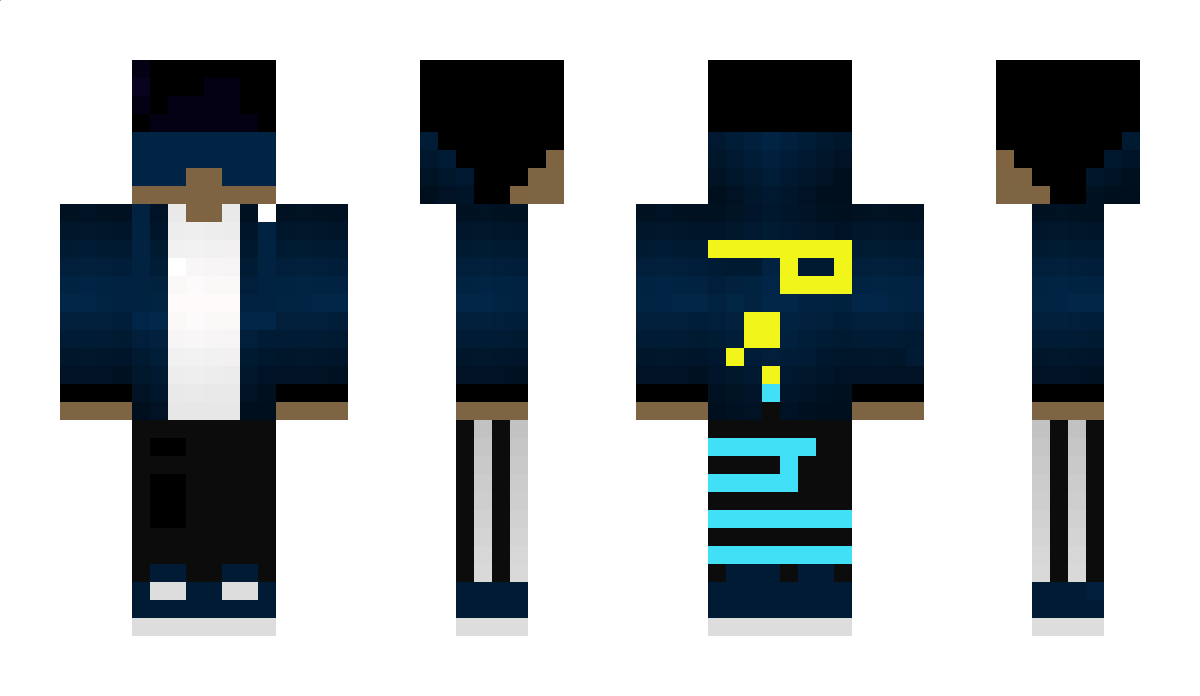 PA_N11 Minecraft Skin