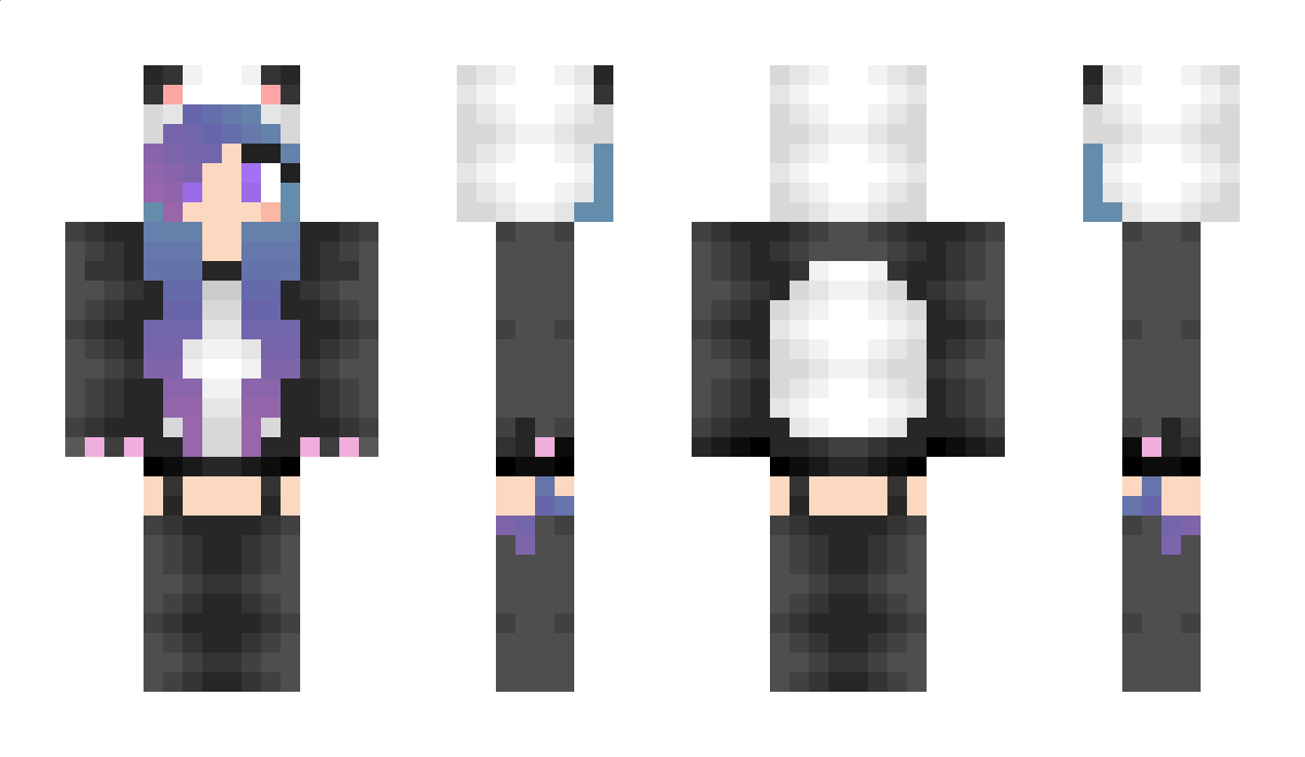 6D9 Minecraft Skin