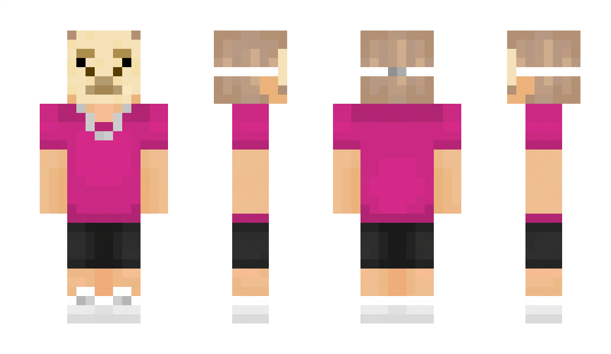 SwagLlama_ Minecraft Skin