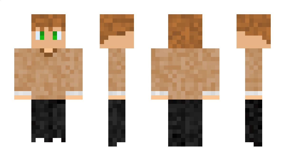 DrPhineas10 Minecraft Skin