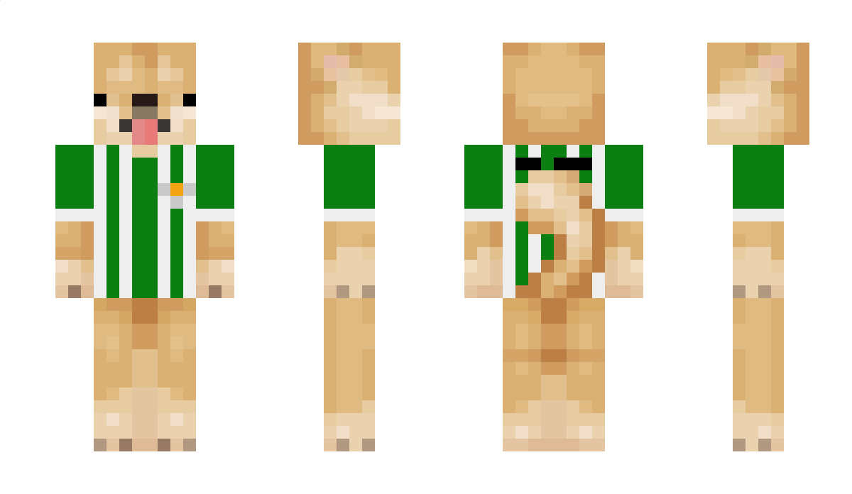 alealvarezz Minecraft Skin