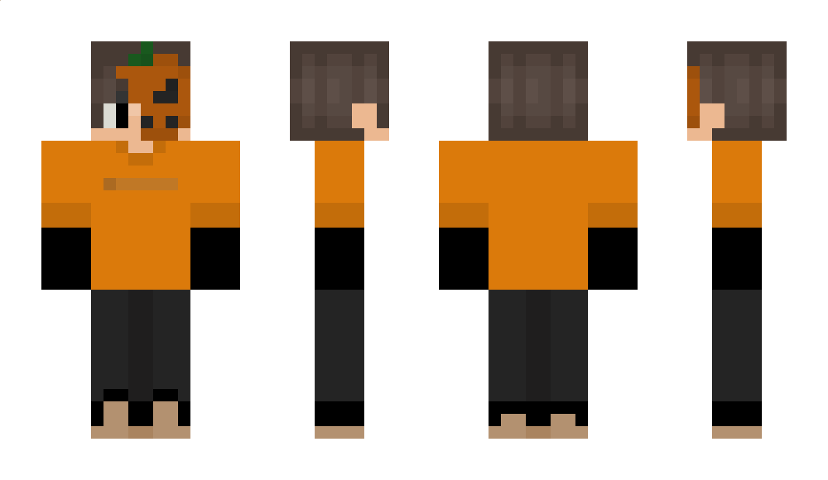 RobinTheBird_ Minecraft Skin